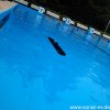 Froda2016 (46)